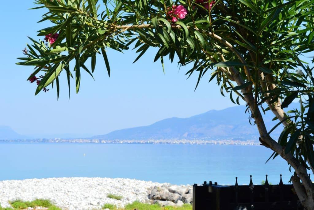 Melenia's Sea Front House * Kalamata